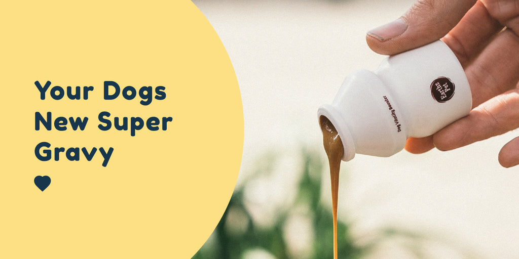 Super gravy for dogs hotsell