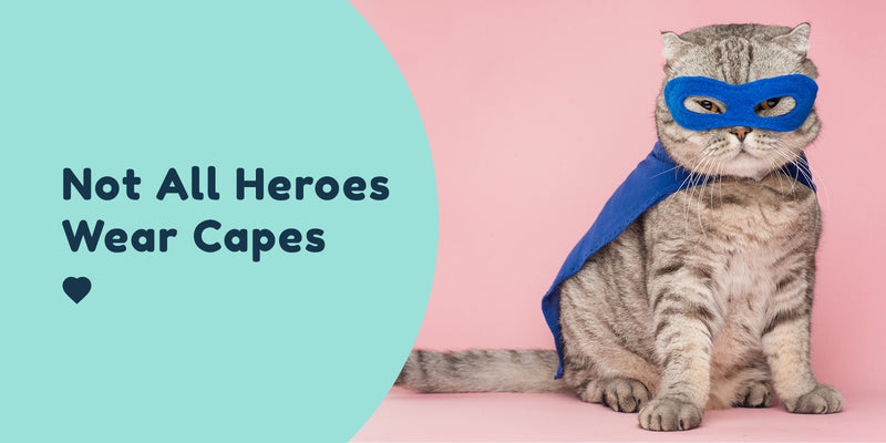 Not all Heroes wear capes Pet Connect Charities