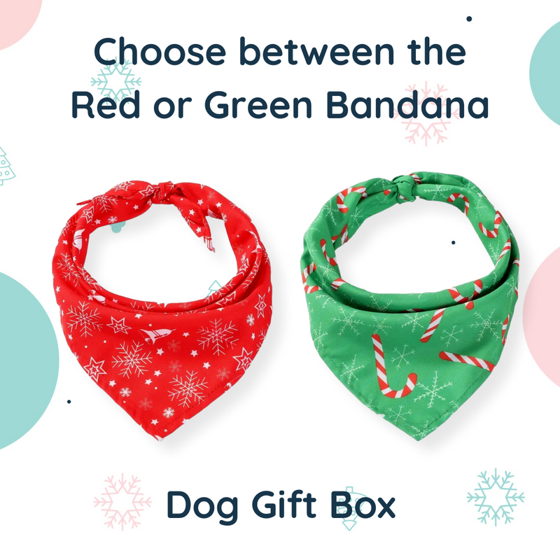 Christmas Dog Gift Box