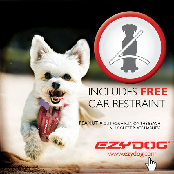 Ezydog camo harness sale