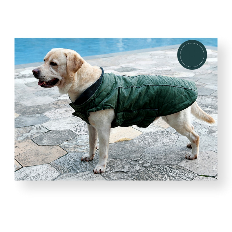 Oneroa Padded Dog Vest Green