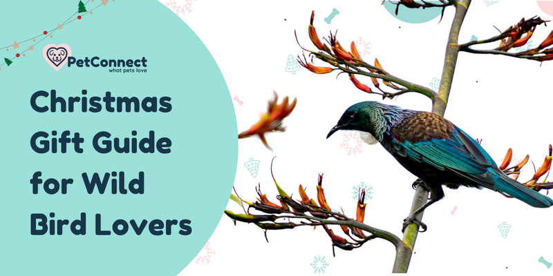 Christmas Gift Guide for Bird Lovers 2024