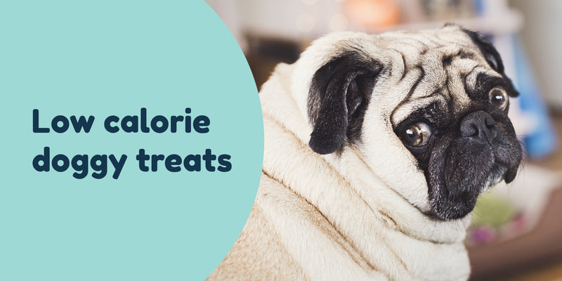 Low Calorie Dog Treats Pet Connect 