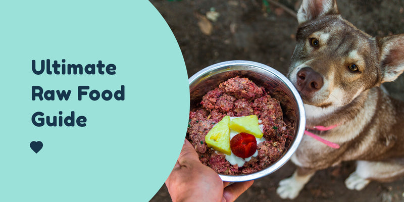 The Ultimate Raw Dog Food Guide