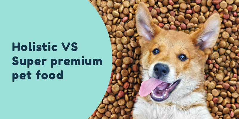 Holistic vs super premium dog food pet connect