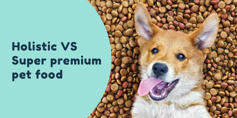 Holistic vs super premium dog food pet connect