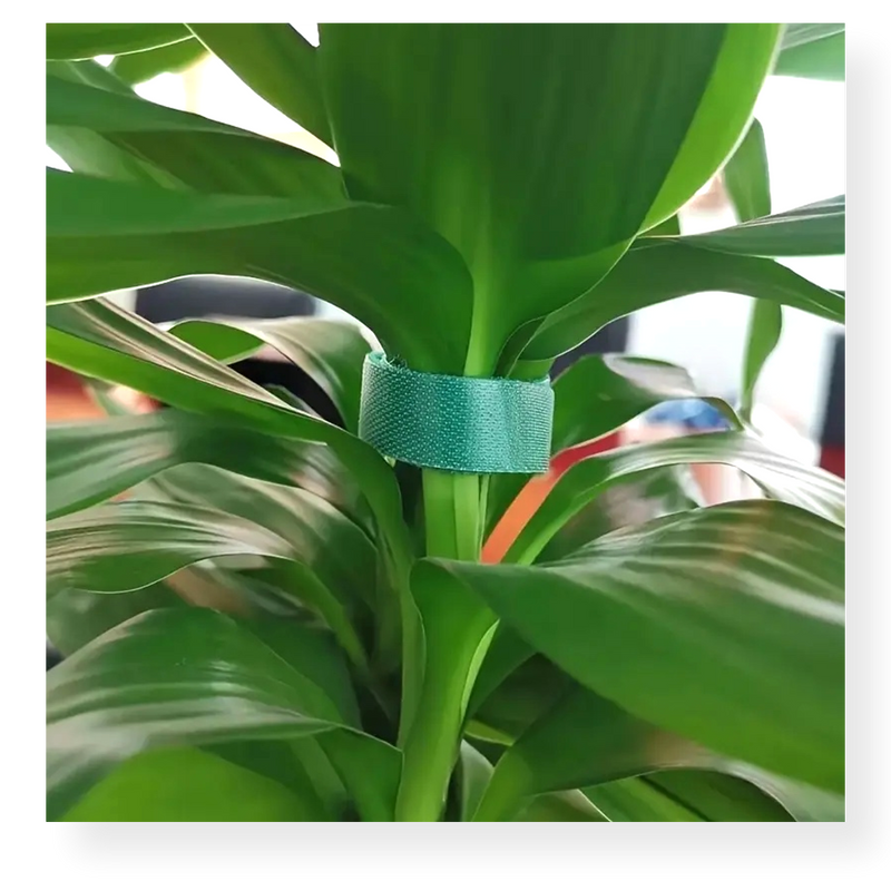 Plant Support Tape 1m