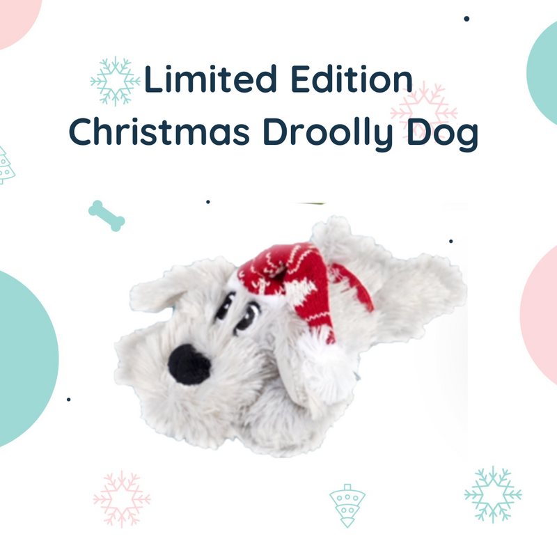 Christmas Dog Gift Box