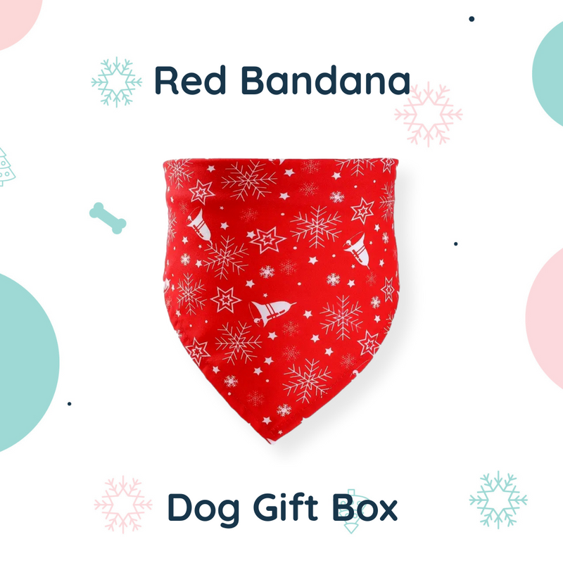Christmas Dog Gift Box