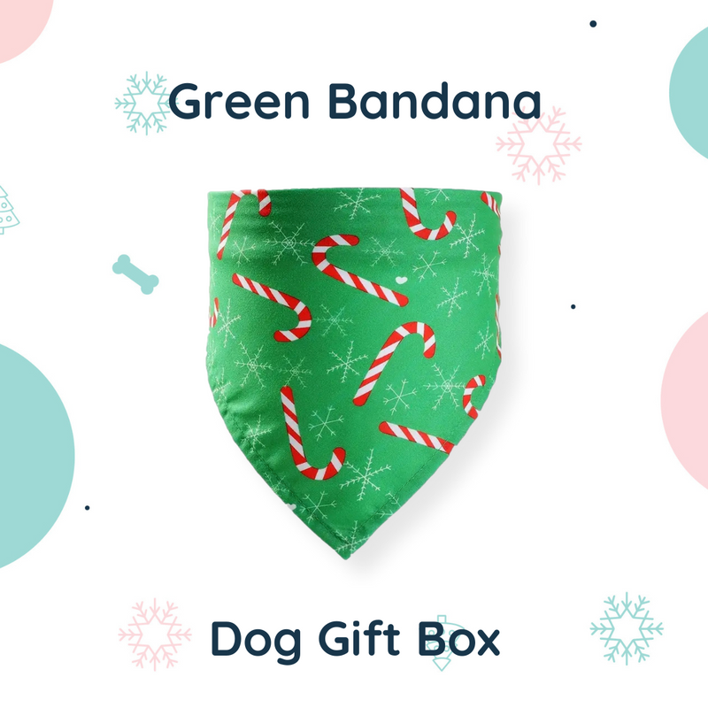 Christmas Dog Gift Box