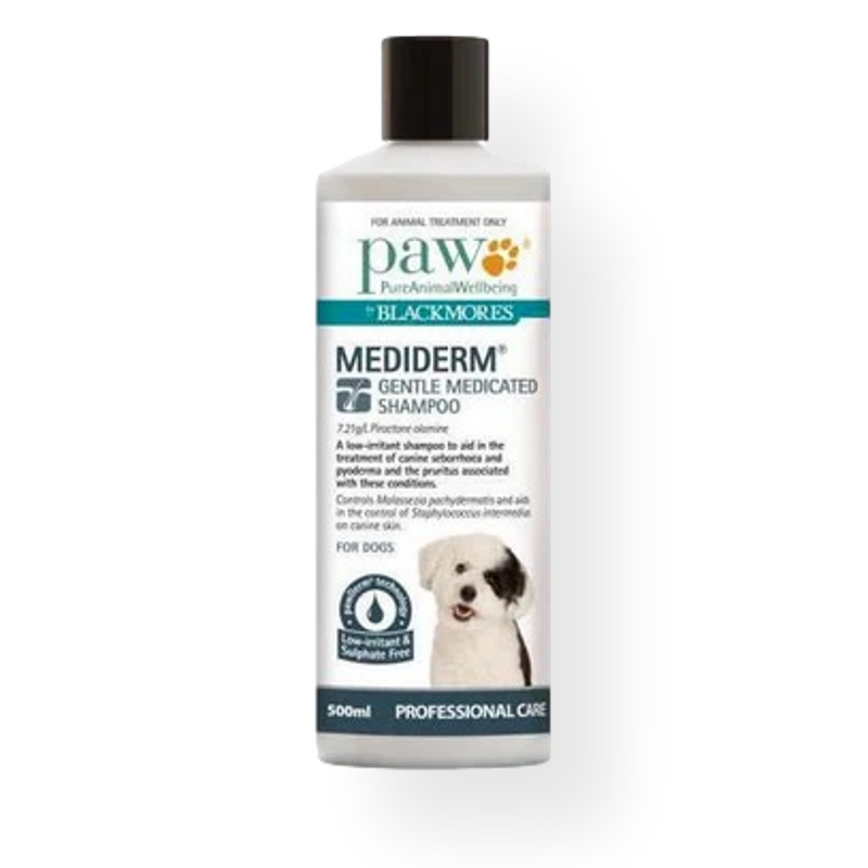 Blackmores PAW Mediderm Shampoo