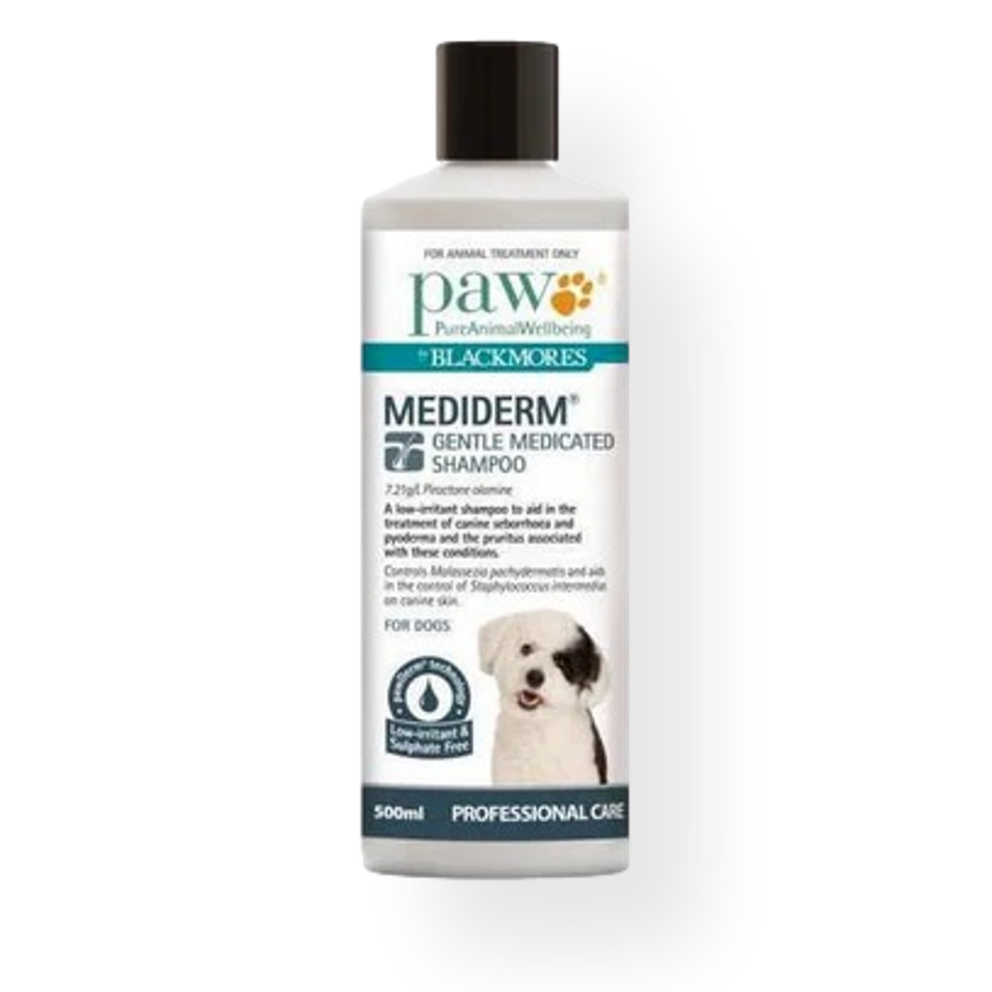 Blackmores mediderm on sale shampoo
