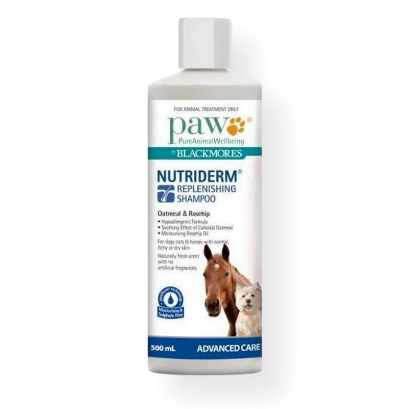 Blackmores Paw Nutriderm Shampoo