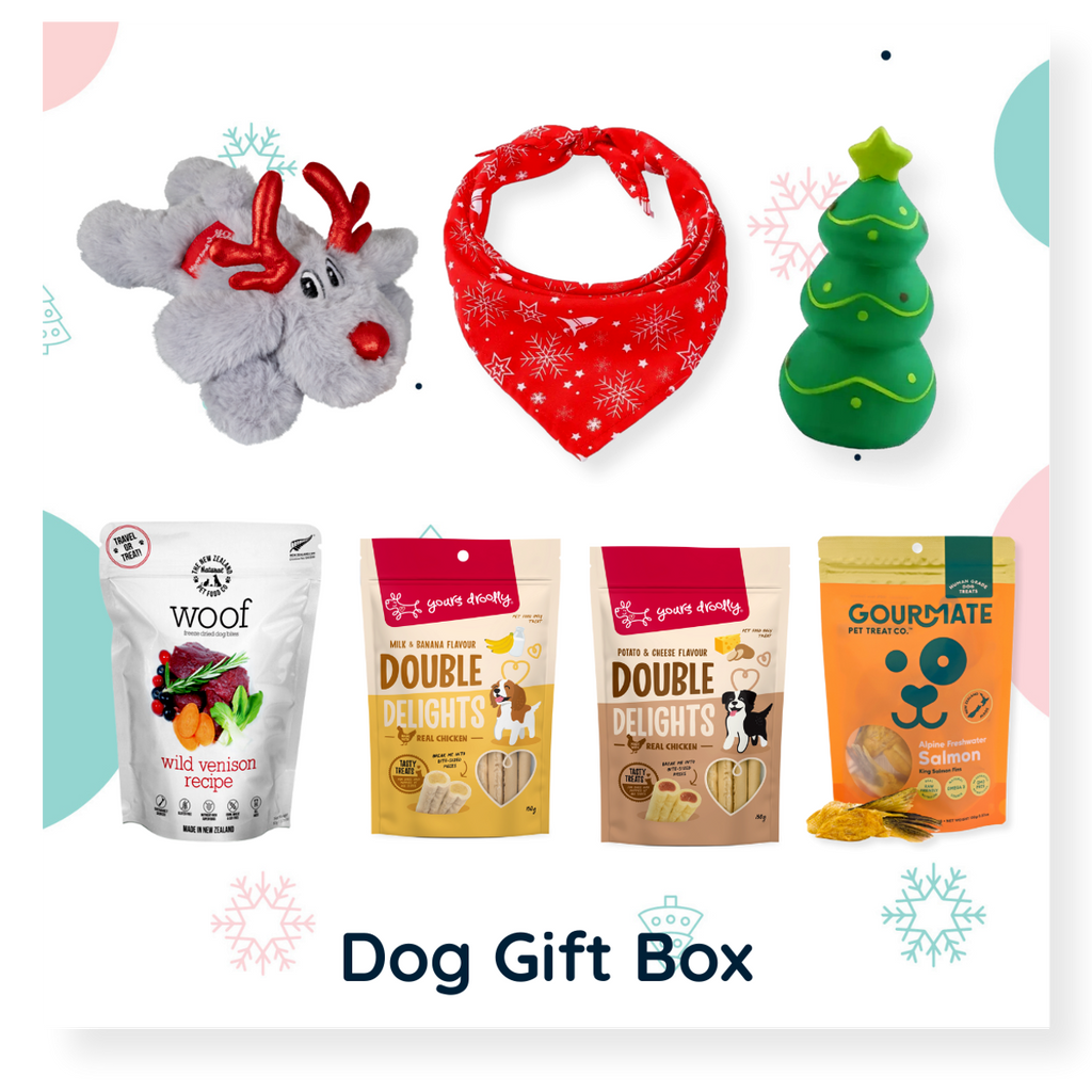 Christmas Dog Gift Box