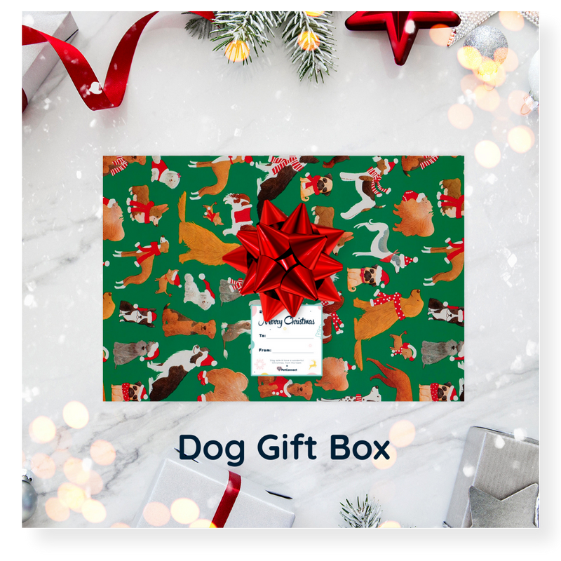 Christmas Dog Gift Box