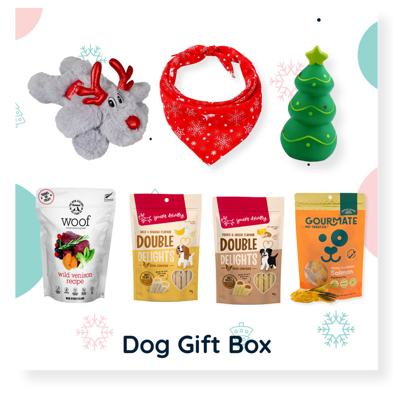 Christmas Dog Gift Box