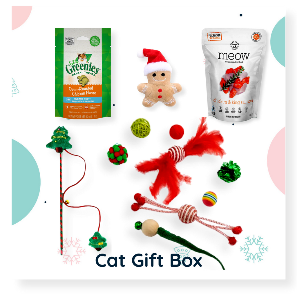 Christmas Cat Gift Box