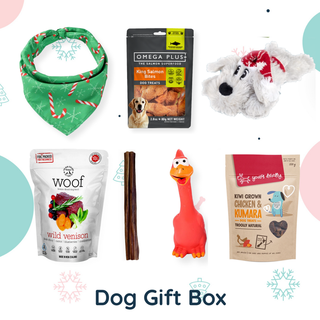 Christmas Dog Gift Box