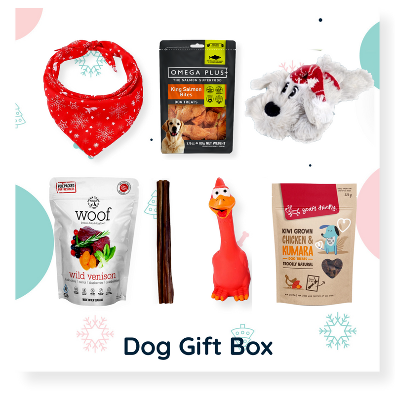 Christmas Dog Gift Box