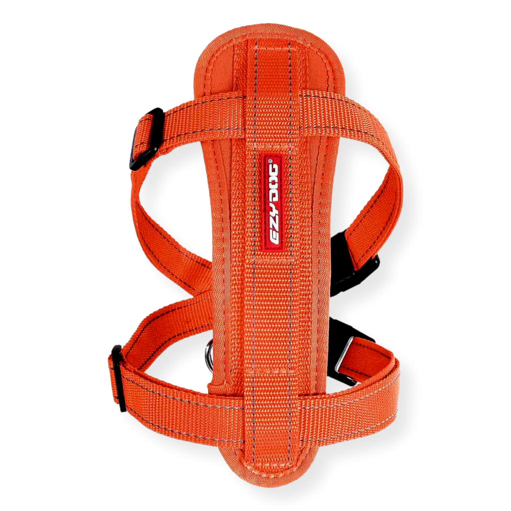 EzyDog Chest Plate Harness Orange