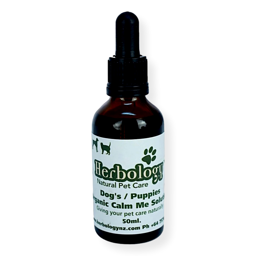 Herbology Calm Me Solution For Dogs 