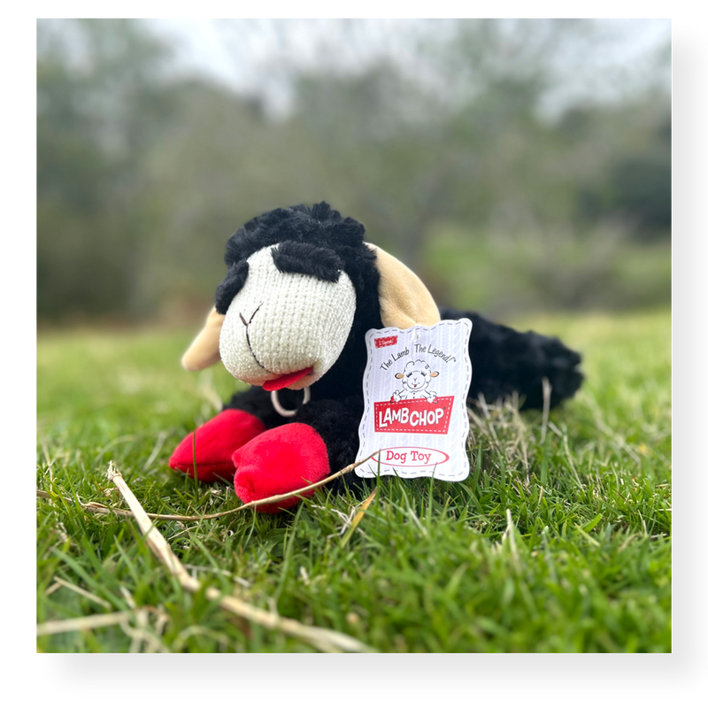 Lamb Chop Black Dog Toy Medium 25cm