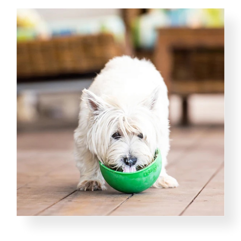 LickiMat Wobble Slow Feed Dog Bowl Turquoise 17cm