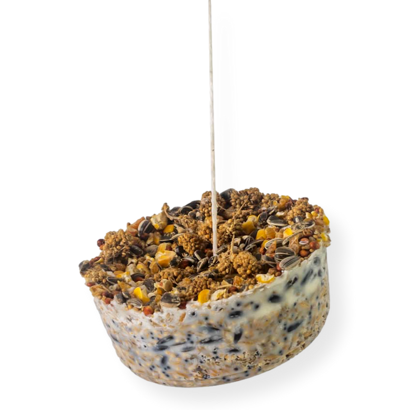 Topflite Wild Bird Gourmet Hanging Treat