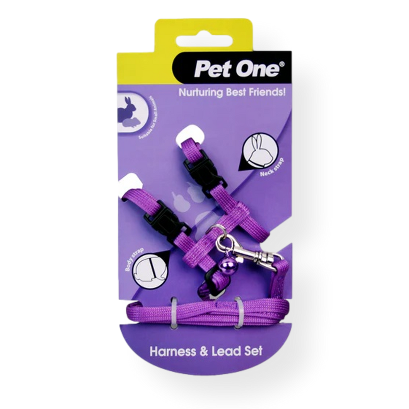 Pet One Small Animal Leash & Harness