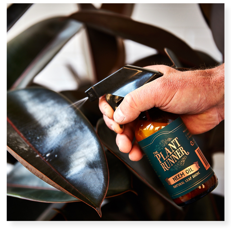 Plant Runner Leaf Shine Neem Oil 250ml