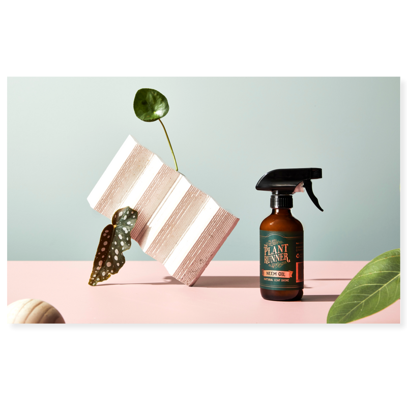 Plant Runner Leaf Shine Neem Oil 250ml