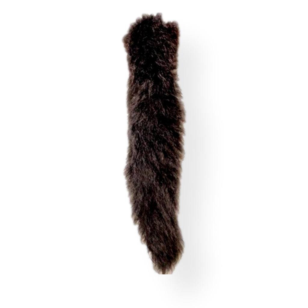Possum Tail