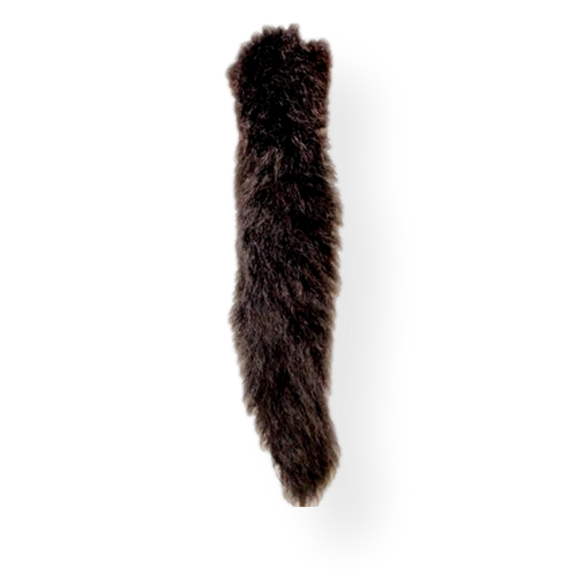 Possum Tail