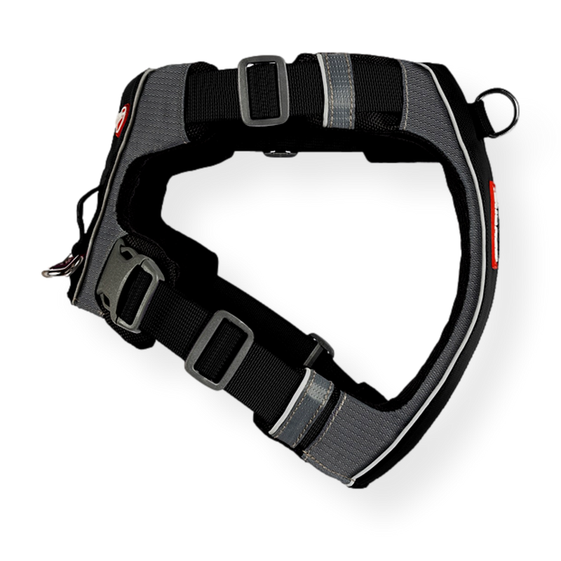 EzyDog X-Link Dog Harness 