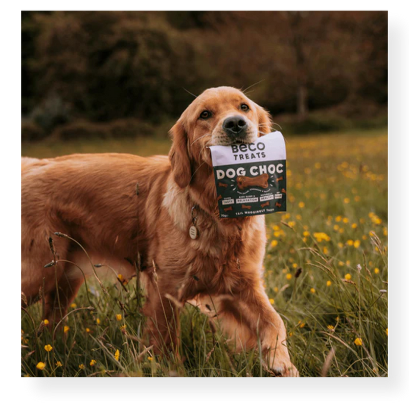 Beco Dog Treats Dog Choc 70g