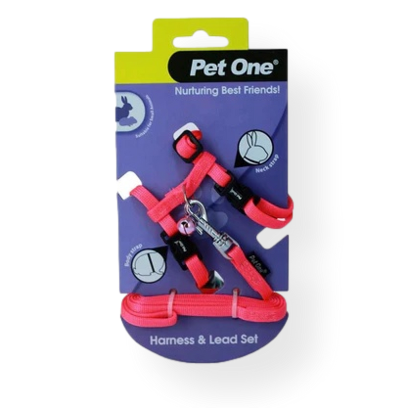 Pet One Small Animal Leash & Harness