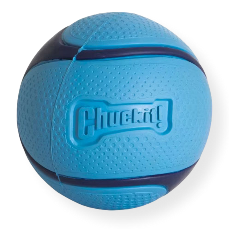 Chuckit Sniff Fetch Ball Bacon Medium 1 pack