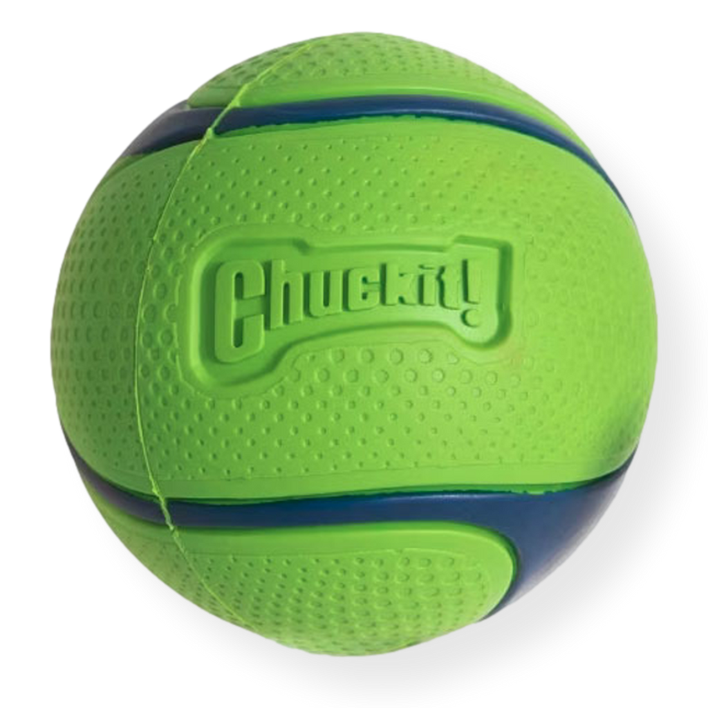 Chuckit Sniff Fetch Ball Peanut Butter Medium 1 pack