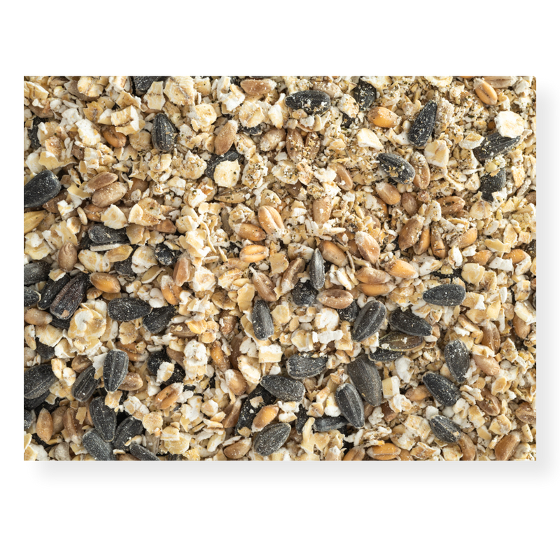 Topflite Hen Health Tonic 1kg