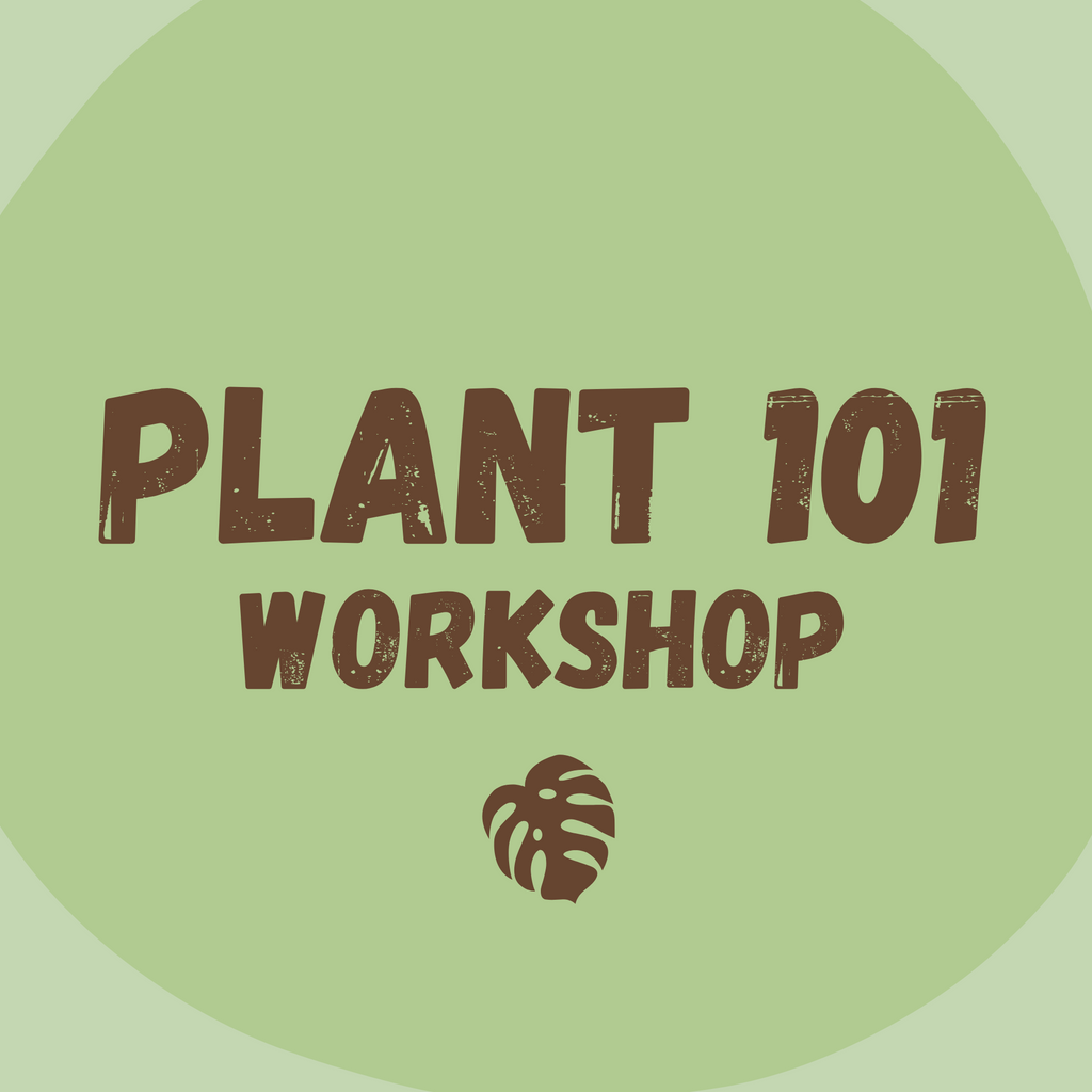 Plant 101 - The Essential Houseplant Workshop