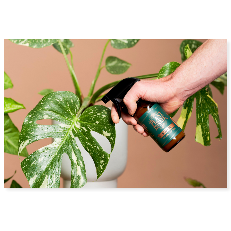 Plant Runner Leaf Shine Neem Oil 250ml