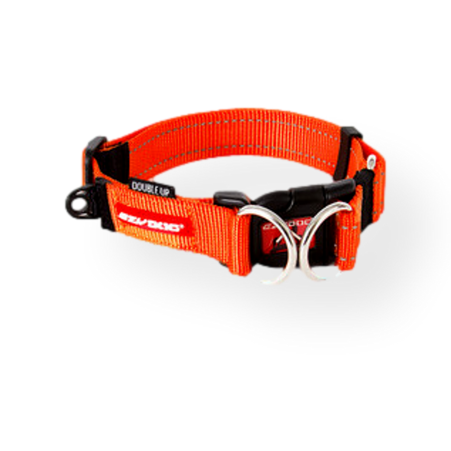 EzyDog Double Up Collar Orange Pet Connect NZ