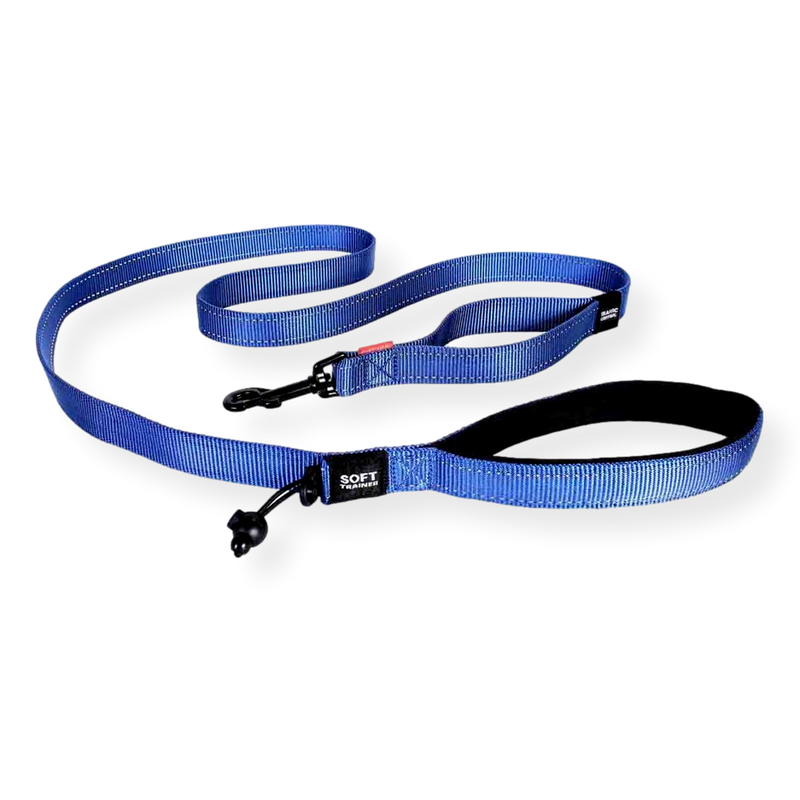 EzyDog Soft Trainer Lead