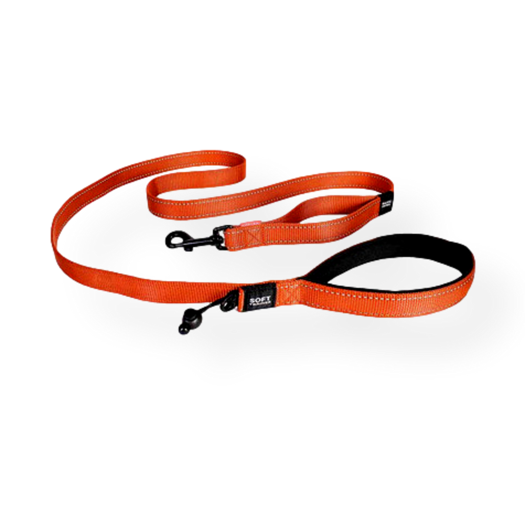 EzyDog Soft Trainer Lead
