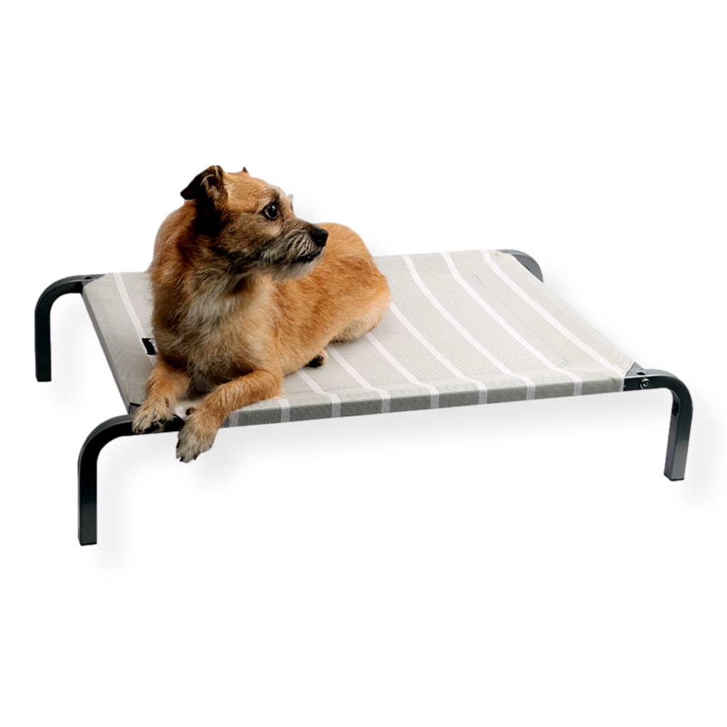 Pet One Leisure Raised Dog Bed Grey & White