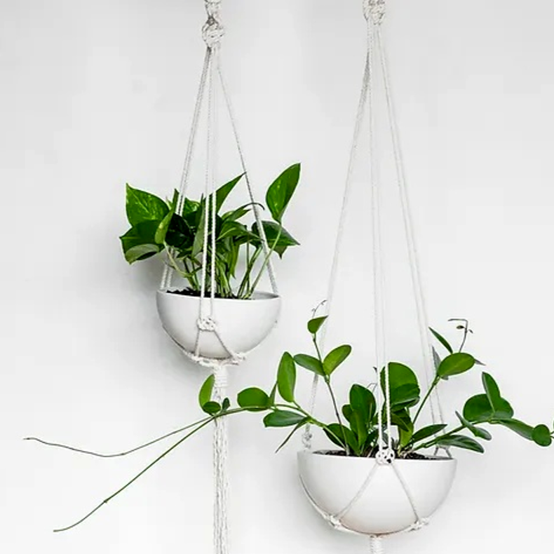 macrame plant hanger nz Macrame Plant Hanger – Pet Connect NZ