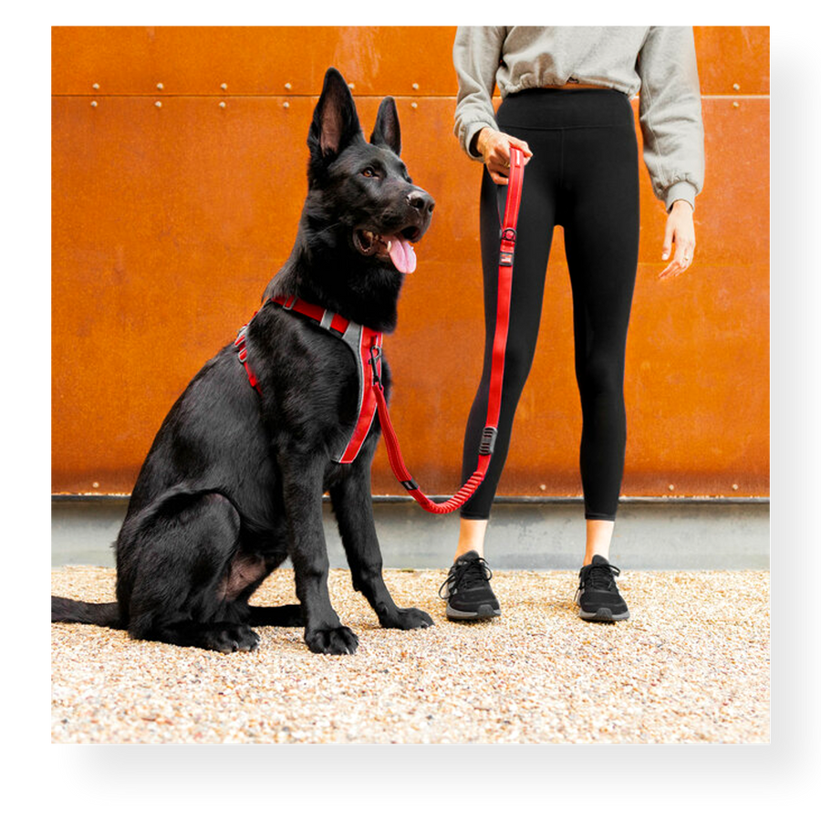 EzyDog X-Link Dog Harness Red - Main Image