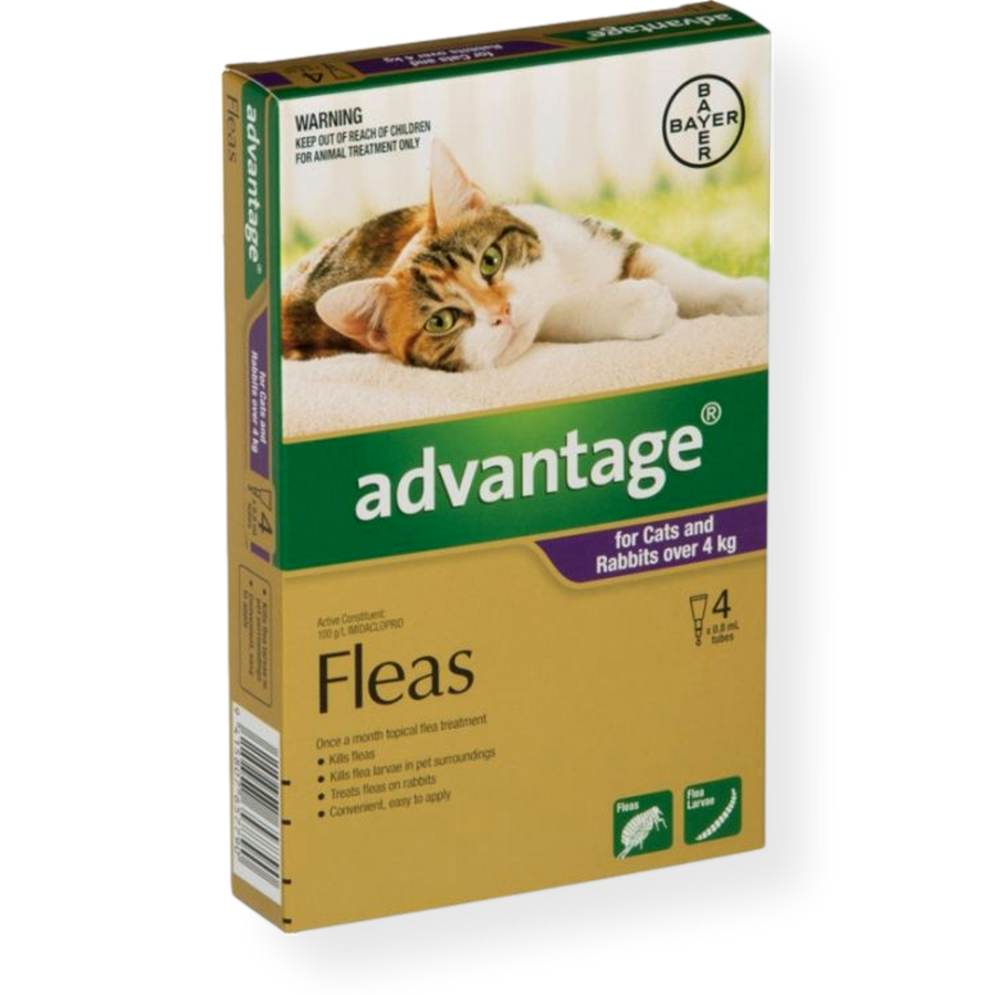 Advantage spot 2024 on flea treatment