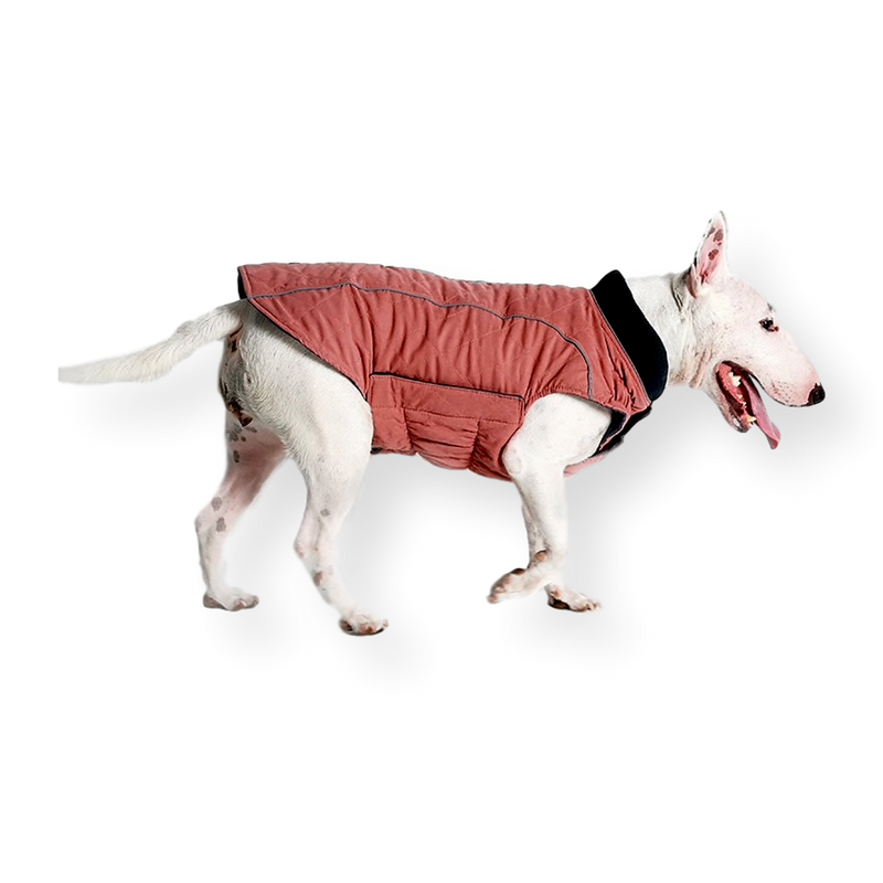 Oneroa Padded Dog Vest Pink