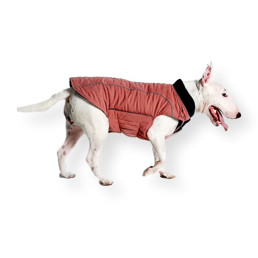 Oneroa Padded Dog Vest Pink Pet Connect NZ